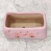 decorative-pink-chick-ceramic-pot-tabletop-planter