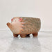 hedgehog-ceramic-planter
