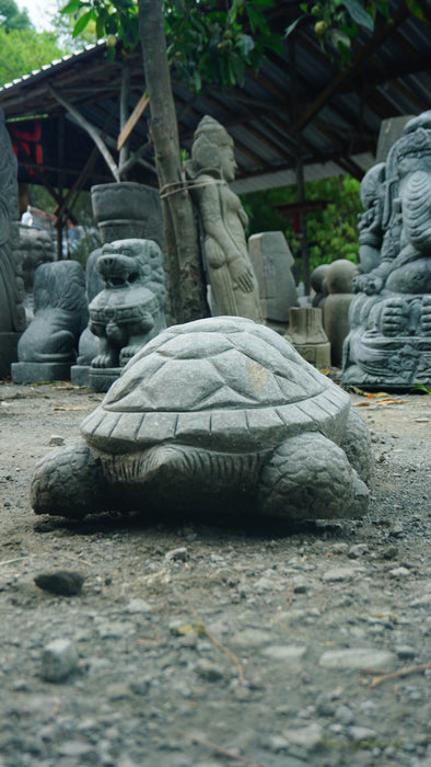 TURTLE