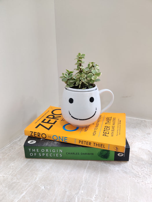 Jade Plant symbolizing growth and harmony