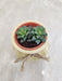 Succulent in ceramic pot for office