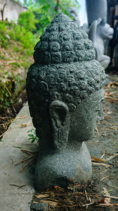 BUDDHA HEAD