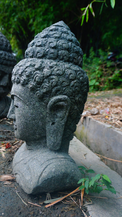 BUDDHA HEAD