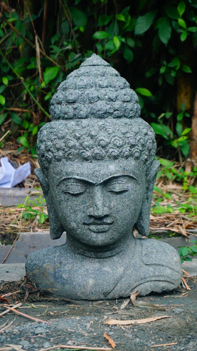 BUDDHA HEAD