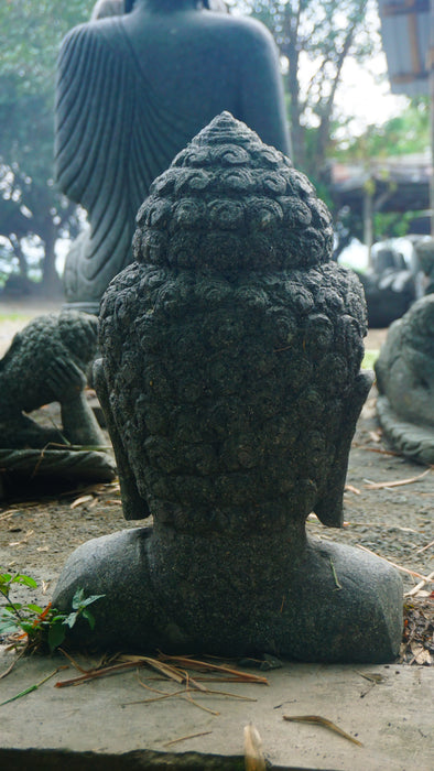 BUDDHA HEAD