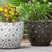 Ceramic Pot : CAPPL - Tuscany Vert Color Big Size (Set of 3)