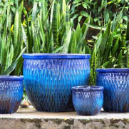 Ceramic Pot : CAPPL - Blue Tri Color Big Size (Set of 4)