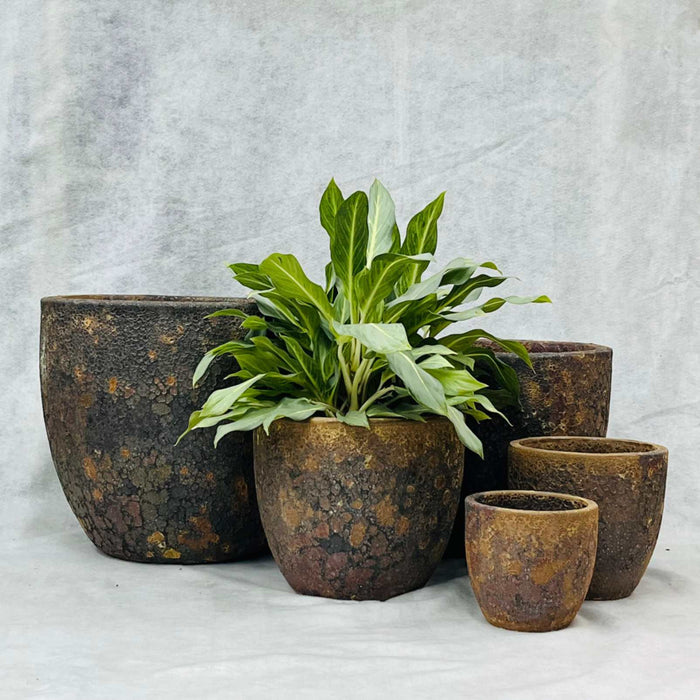 Ceramic Pot CAPPL-10209 Angkor Brown  (S/5)