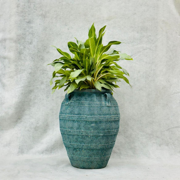 Ceramic Pot CAPPL-12210 (Small) Angkor Green