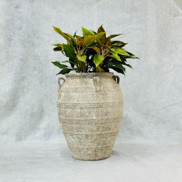 Ceramic Pot CAPPL-12210 (Small) Angkor Cream