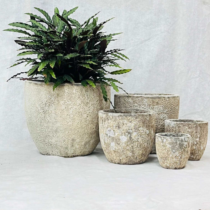 Ceramic Pot CAPPL-10209 Angkor Cream (S/5)