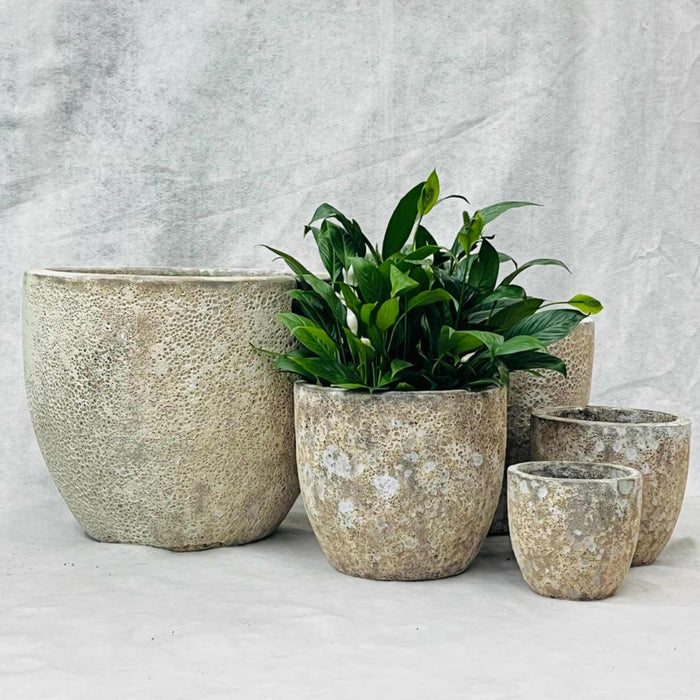 Ceramic Pot CAPPL-10209 Angkor Cream (S/5)