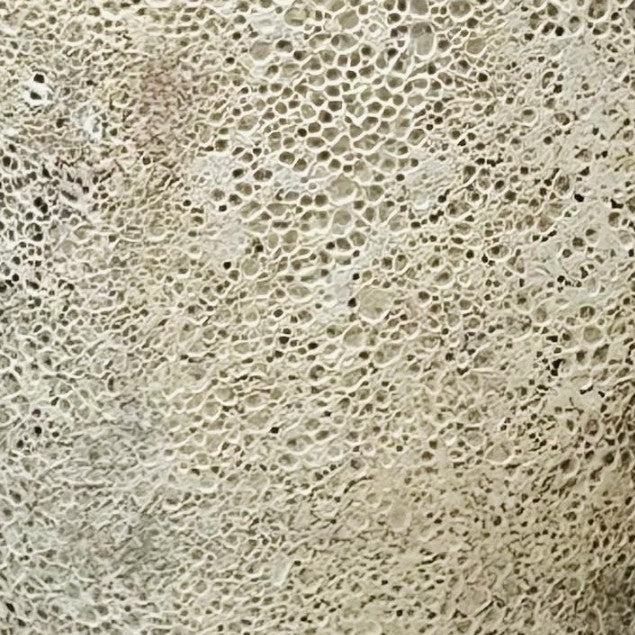 Ceramic Pot CAPPL-10209 Angkor Cream (S/5)