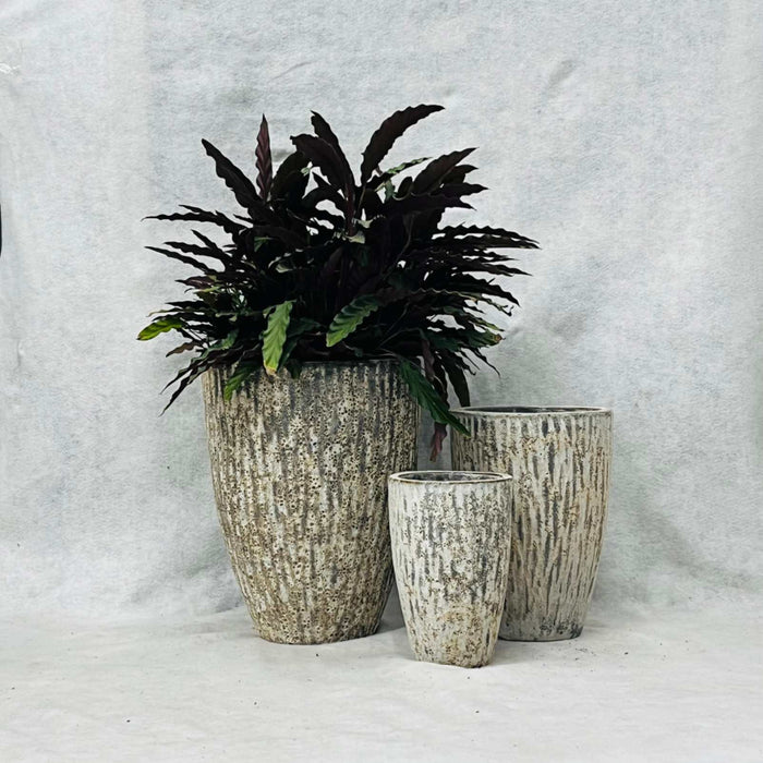 Ceramic Pot CAPPL-10230 Angkor Cream (S/3)