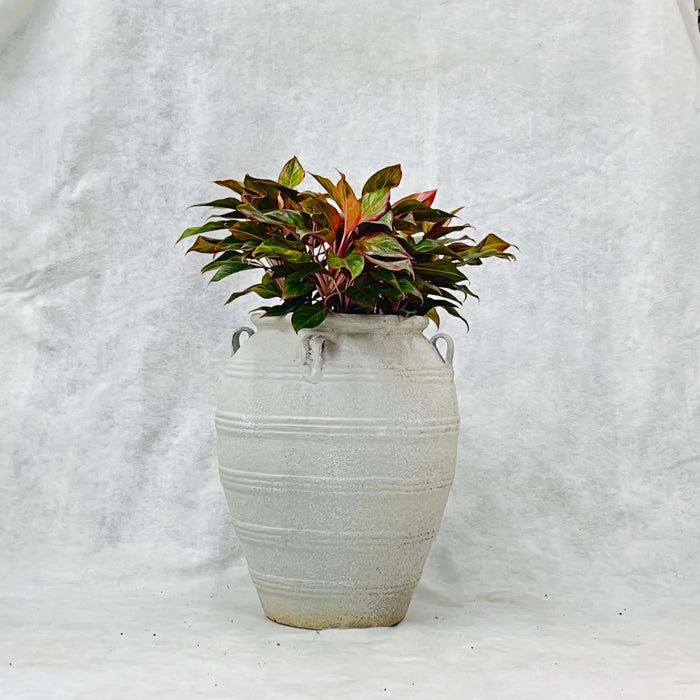 Ceramic Pot CAPPL-12210 (Medium) Angkor Sanding white