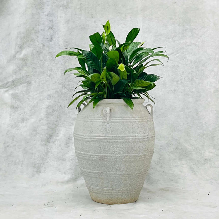 Ceramic Pot CAPPL-12210 (Medium) Angkor Sanding white