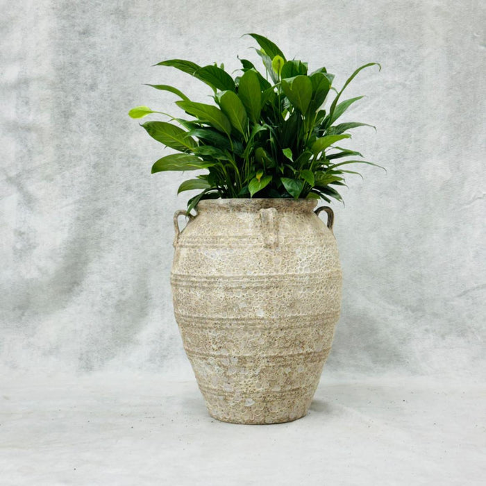 Ceramic Pot CAPPL-12210 (Medium) Angkor Cream