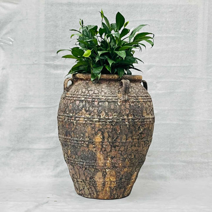 Ceramic Pot CAPPL-12210 (Large) Angkor Brown