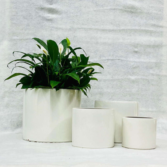 Ceramic Pot : CAPPL - Glossy White Color Big Size (Set of 4)