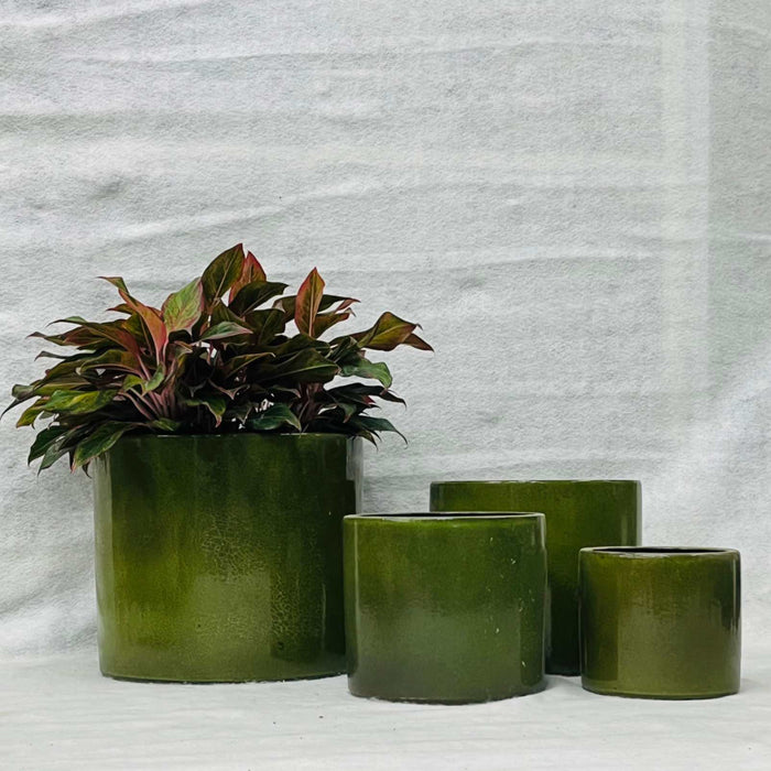 Ceramic Pot : CAPPL - Green Color Big Size (Set of 4)