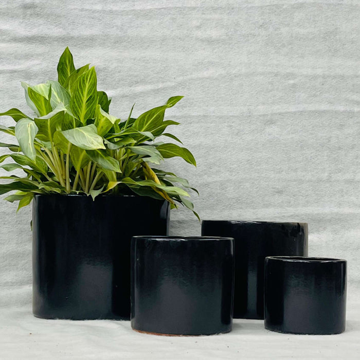 Ceramic Pot : CAPPL - Shiny Black Color Big Size (Set of 4)