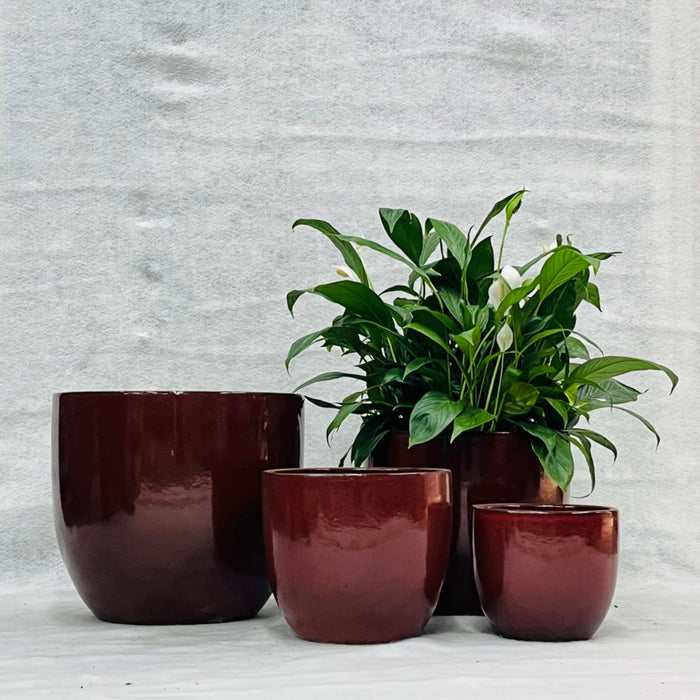 Ceramic Pot : CAPPL - Iron Red Color Big Size (Set of 4)