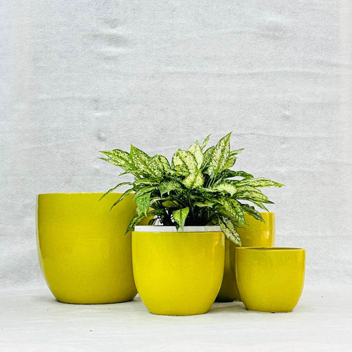 Ceramic Pot : CAPPL - Yellow Color Big Size (Set of 4)