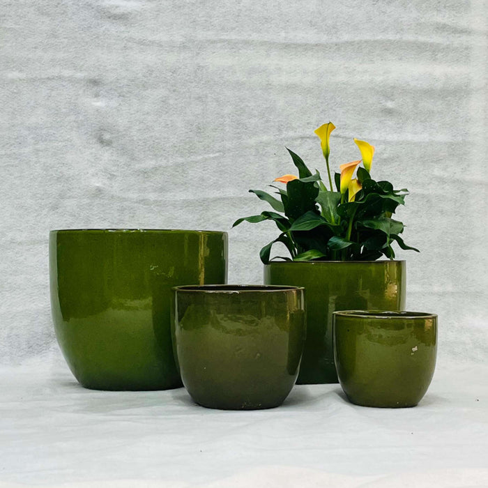 Ceramic Pot : CAPPL - Green Color Big Size (Set of 4)