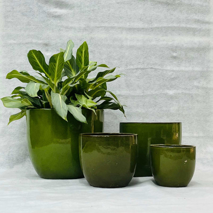 Ceramic Pot : CAPPL - Green Color Big Size (Set of 4)