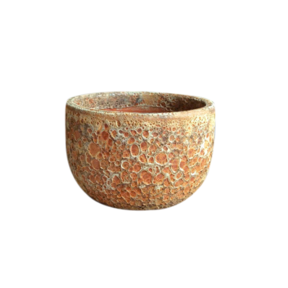 Ceramic Pot CAPPL-1022 Angkor Brown – ChhajedGarden.com