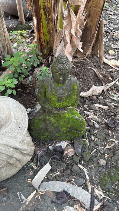 SEATED BUDDDHA MEDITATION