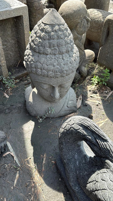 BUDDHA HEAD