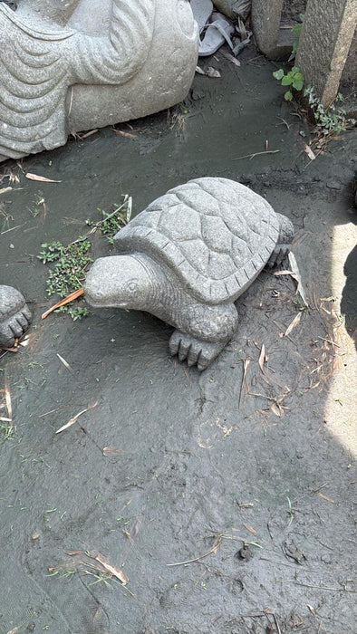 TURTLE