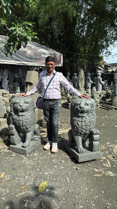 SITTING LION