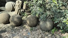 BALL