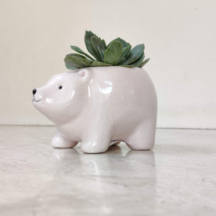 Polar Bear Ceramic Planter