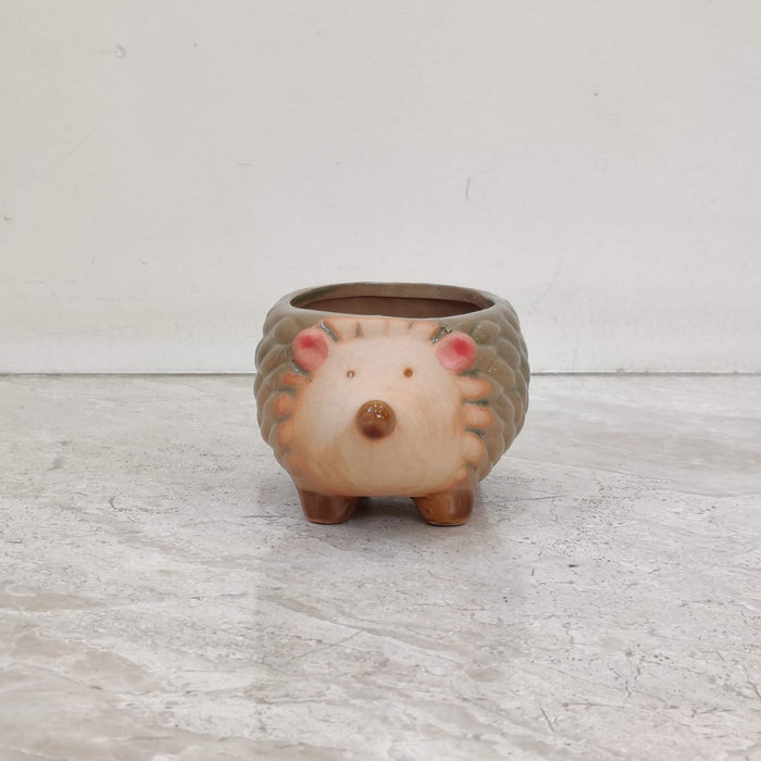 Baby Hedgehog Ceramic Planter