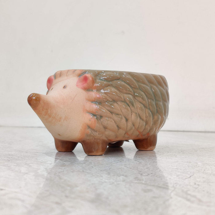 Hedgehog Ceramic Planter