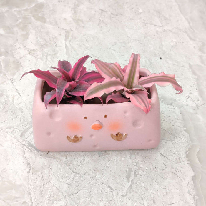 Pink Chick Ceramic Planter