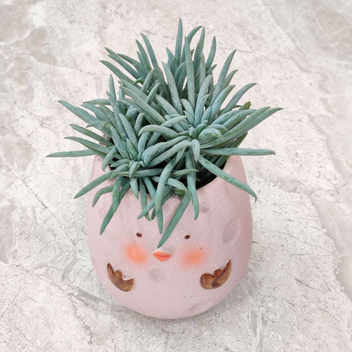 Blush Chick Ceramic Pot