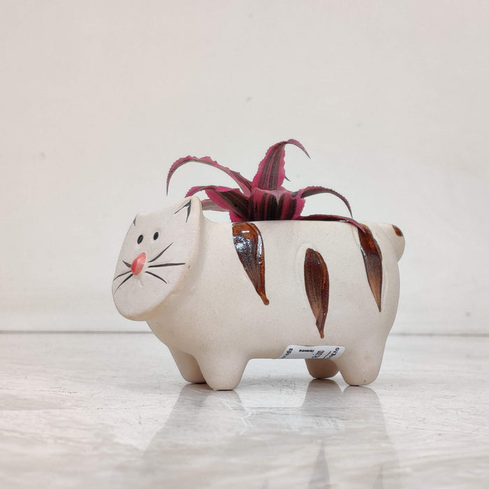Whisker Cat Ceramic Planter