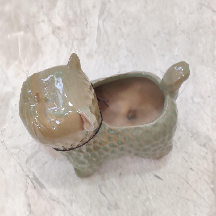 Lucky Cat Ceramic Planter
