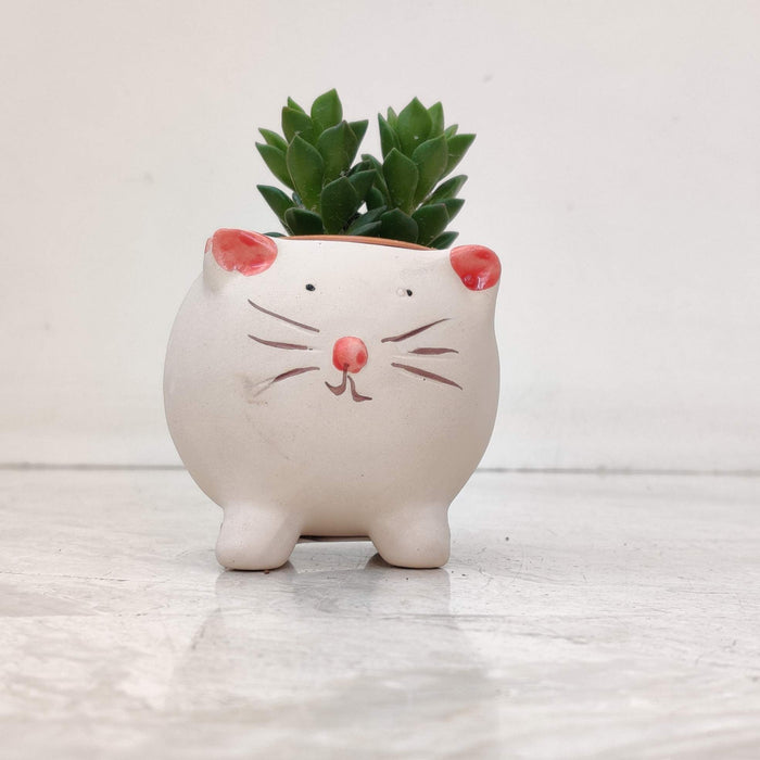 Cute Kitty Ceramic Planter