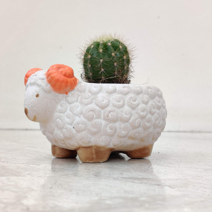 Sheep Ceramic Planter