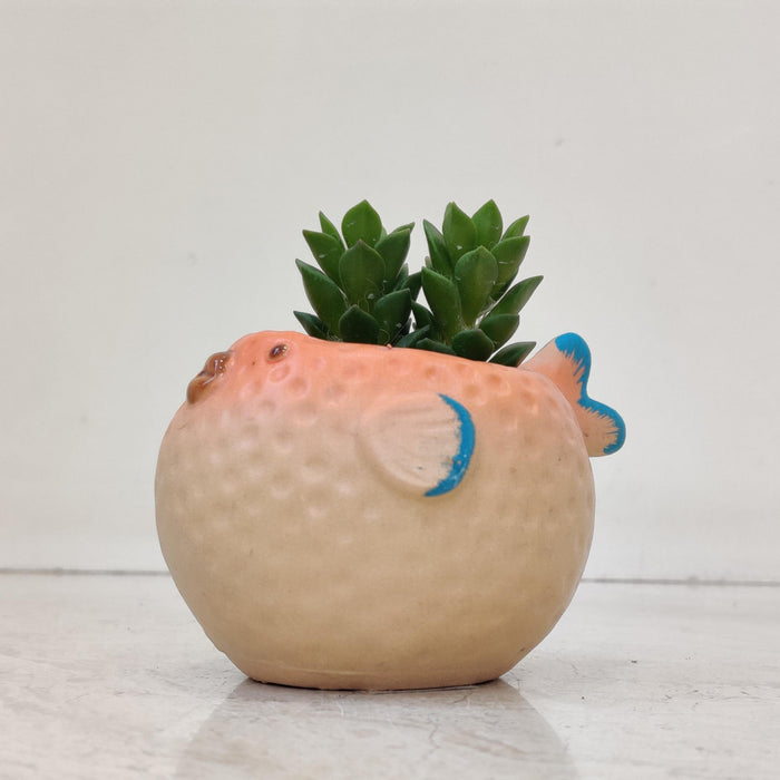 Puffer Fish Ceramic Planter