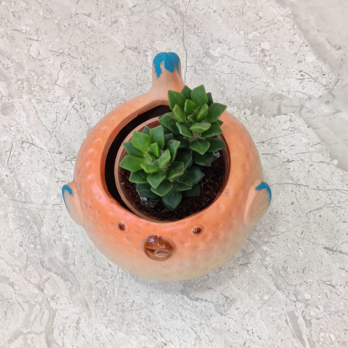 Puffer Fish Ceramic Planter