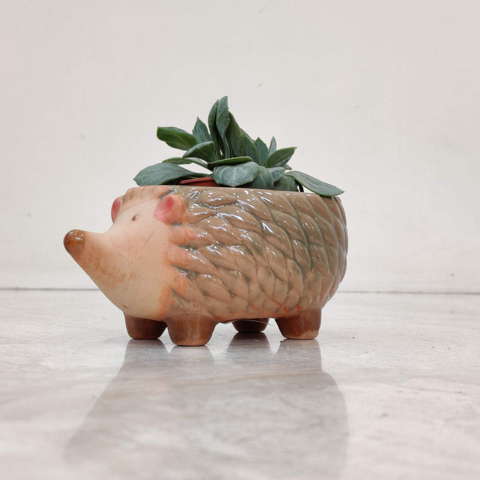 Hedgehog Ceramic Planter