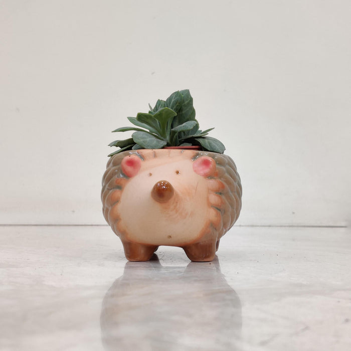 Hedgehog Ceramic Planter