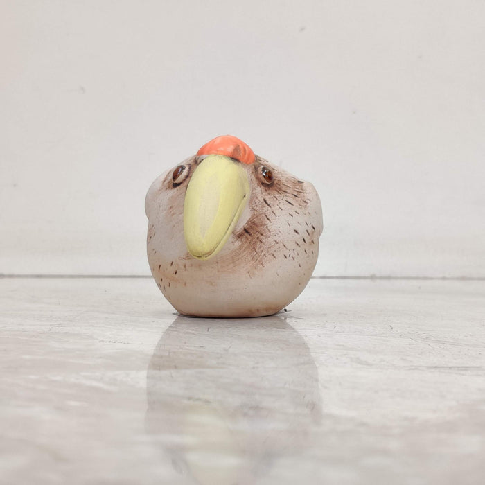 Toucan Bird Ceramic Planter