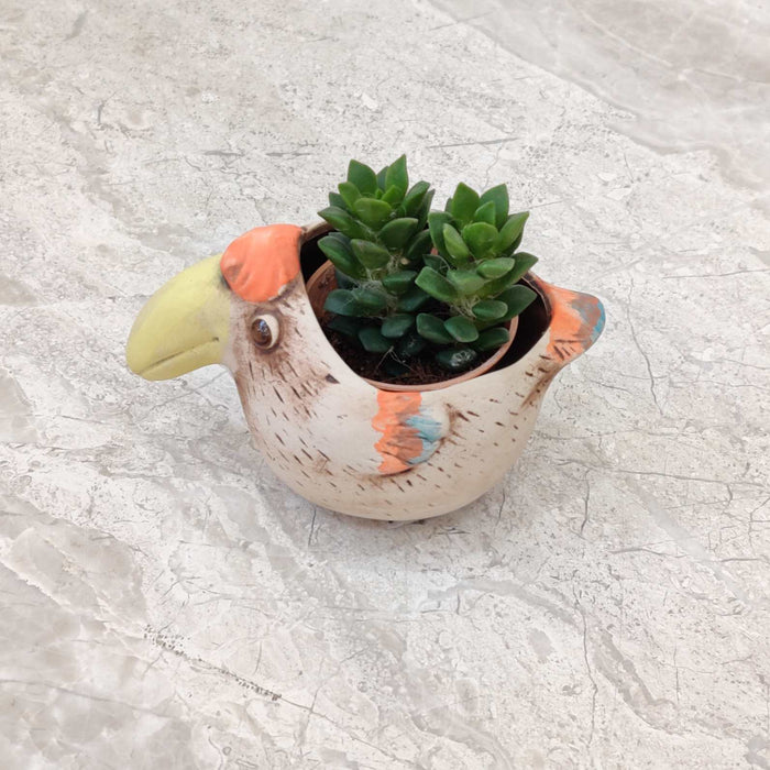 Toucan Bird Ceramic Planter